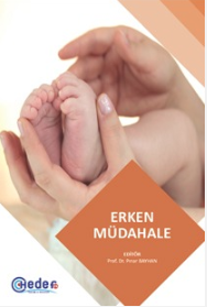 Erken Eğitsel Müdahale Modelleri ve Temel Kuramlar